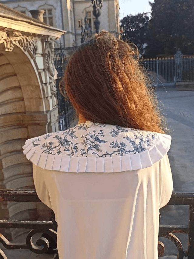 Col Claudine Mésanges